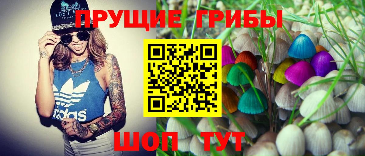 Псилоцибиновые грибы GOLDEN TEACHER Дзержинский