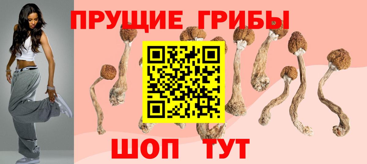 Дзержинский  продажа наркотиков  Галлюциногенные грибы MAGIC MUSHROOMS  Вход с VPN  Псилоцибиновые грибы мицелий 