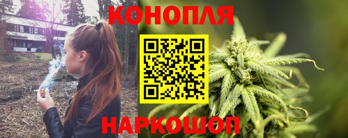 Конопля OG Kush Дзержинский